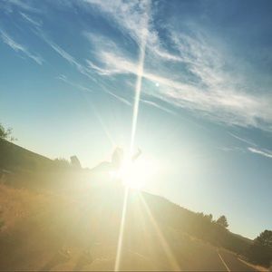 Meet your Posher, Annie